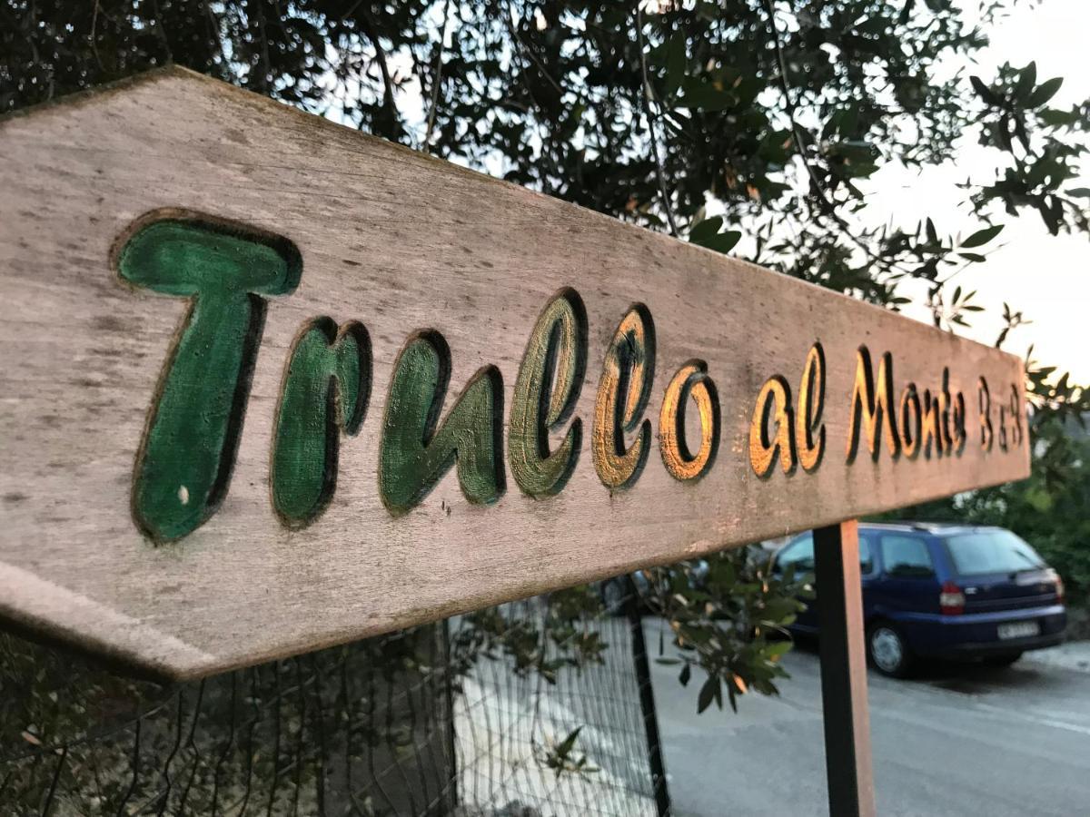לינה וארוחת בוקר צ'לייה מספיקה Trullo Al Monte מראה חיצוני תמונה